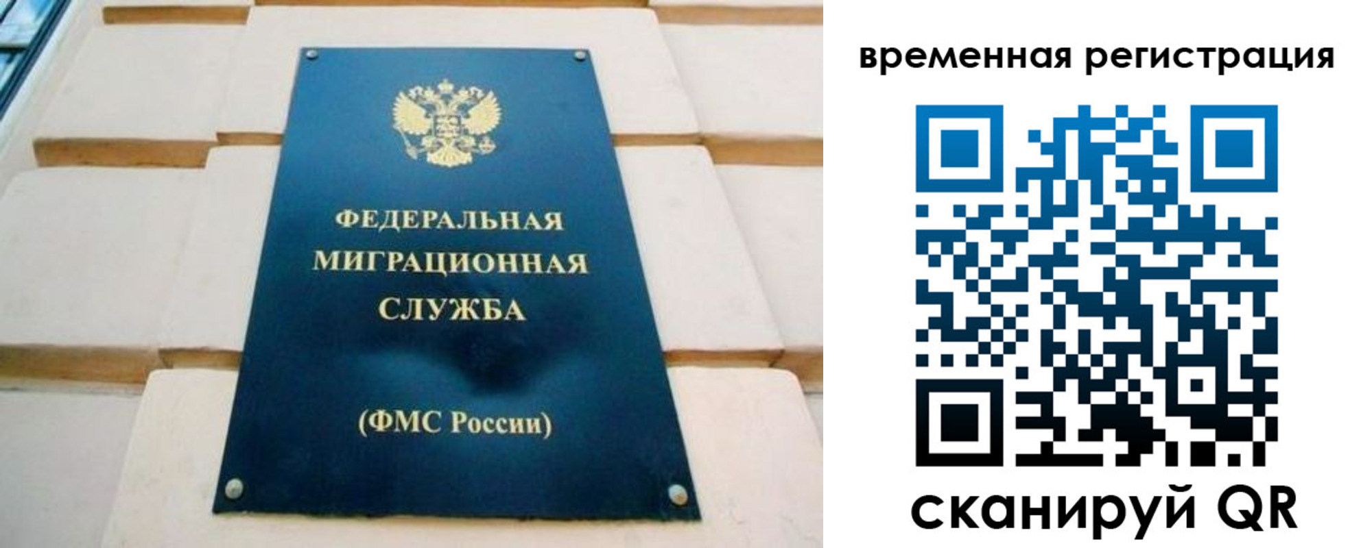 прописка гарантия в Петропавловске-Камчатском