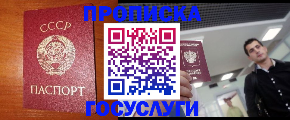 регистрация в Петропавловске-Камчатском